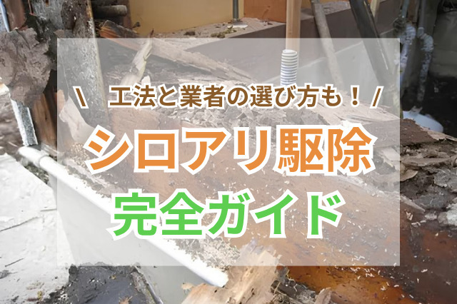シロアリ駆除のタイミングと方法を解説｜被害チェックや業者の選び方もご紹介