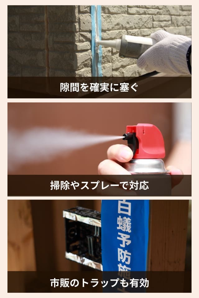 アリが出た際の応急処置