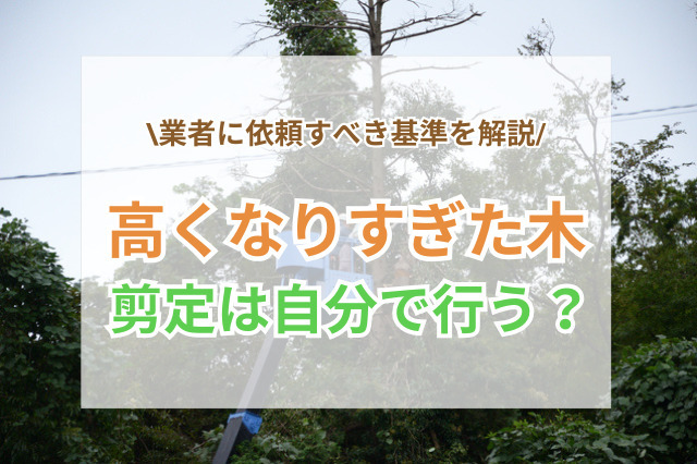 高くなりすぎた木のを剪定|自分で行う場合・業者に依頼する場合の基準を解説