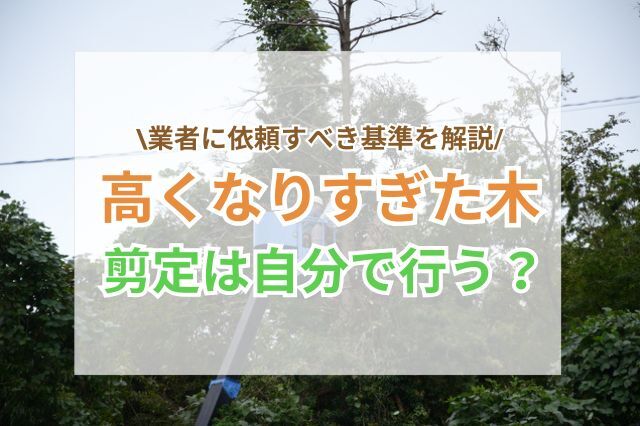 高くなりすぎた木の剪定｜自分で行う場合・業者に依頼する場合の基準を解説