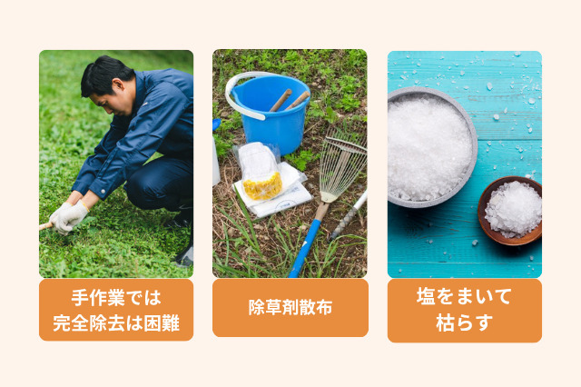 主なドクダミの駆除方法として、手作業では難しく、除草剤をまいたり、塩をまいて駆除する方法がある