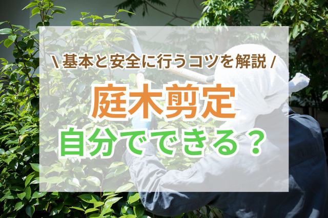 庭木の剪定は自分でできる?基本と安全に行うコツを解説