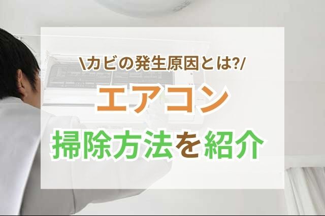 4.フィンを掃除する